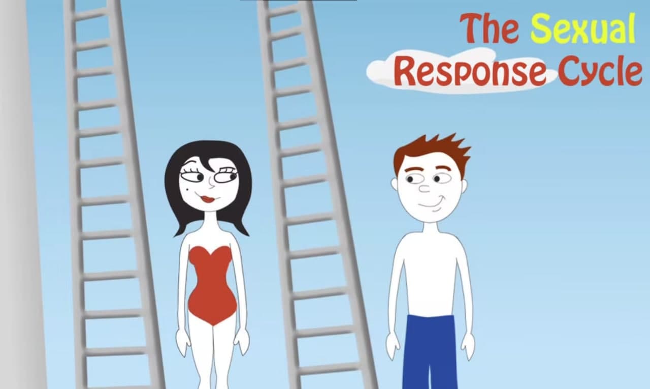چرخه پاسخ جنسی 