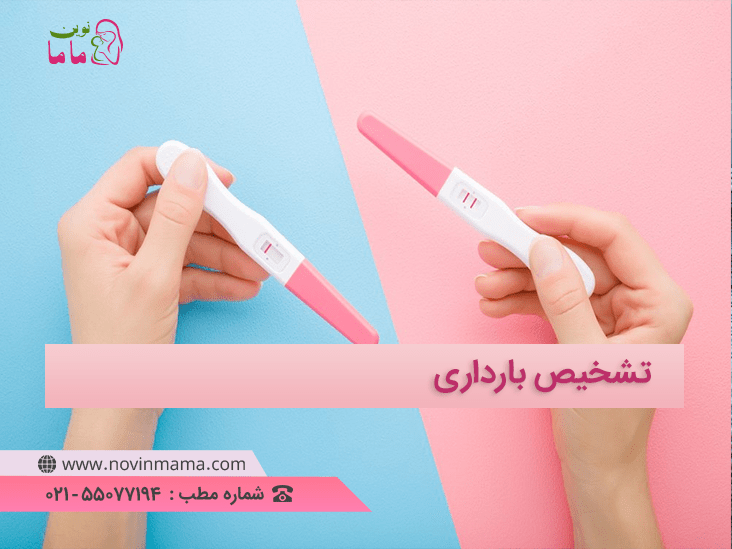 تشخیص باردادی